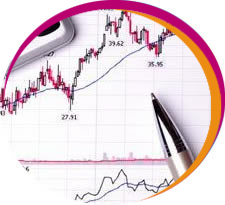 Sümbül Turizm Denetim